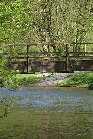 boven lesse echte ardennen rivier