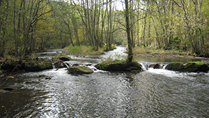 boven lesse echte ardennen rivier