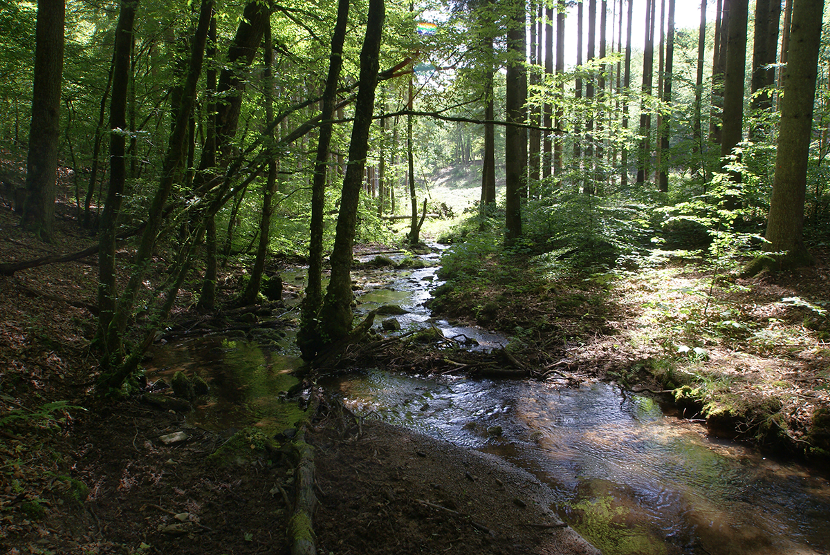 boven lesse echte ardennen rivier