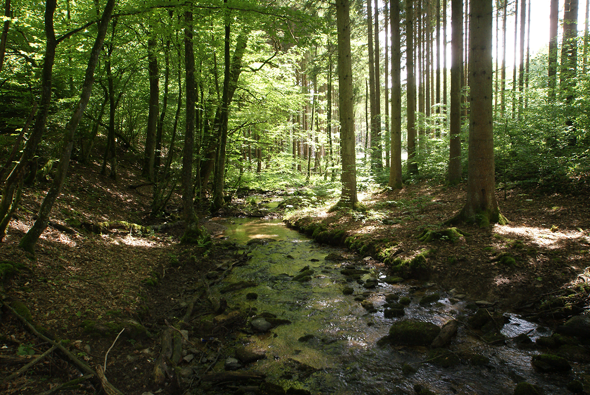 boven lesse echte ardennen rivier