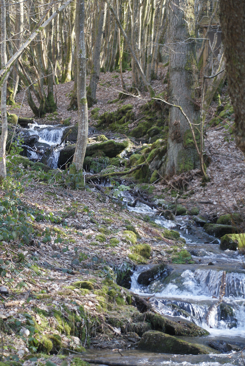 boven lesse echte ardennen rivier