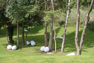 hébergement de groupe en maison de vacances echte ardennen sechery