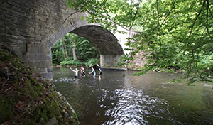 Aux alentours de Sechery il y a aussi certains des plus beaux villages de Wallonie