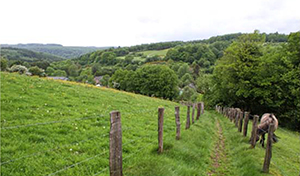 Aux alentours de Sechery il y a aussi certains des plus beaux villages de Wallonie