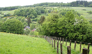 Aux alentours de Sechery il y a aussi certains des plus beaux villages de Wallonie