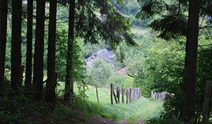 Aux alentours de Sechery il y a aussi certains des plus beaux villages de Wallonie