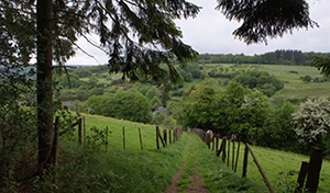 Aux alentours de Sechery il y a aussi certains des plus beaux villages de Wallonie