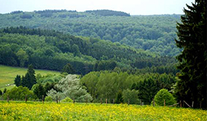 Aux alentours de Sechery il y a aussi certains des plus beaux villages de Wallonie