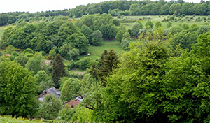 Aux alentours de Sechery il y a aussi certains des plus beaux villages de Wallonie