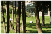 hébergement de groupe en maison de vacances echte ardennen sechery