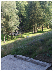 hébergement de groupe en maison de vacances echte ardennen sechery